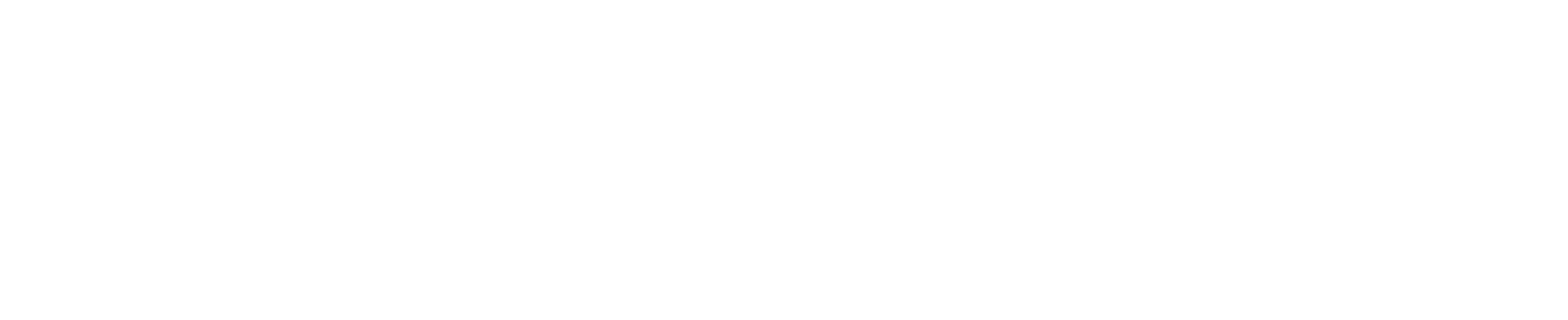 SkyPass Solutions